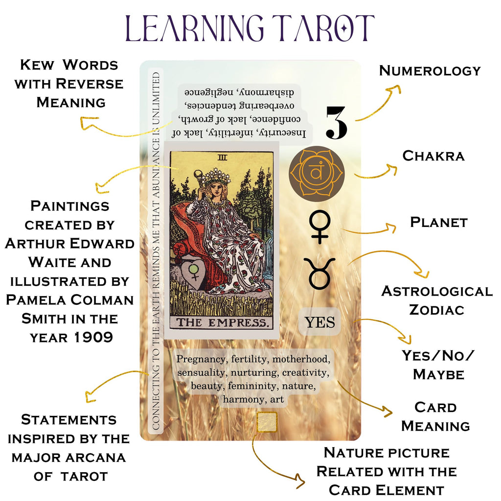 Witchy Cauldron Tarot Cards for Beginners with Meanings on Each Card — 78 Card Learning Tarot Deck with Guidebook, Reversed Meanings, Chakra, Zodiac & Planetary Symbols | Rider-Waite Style (English)