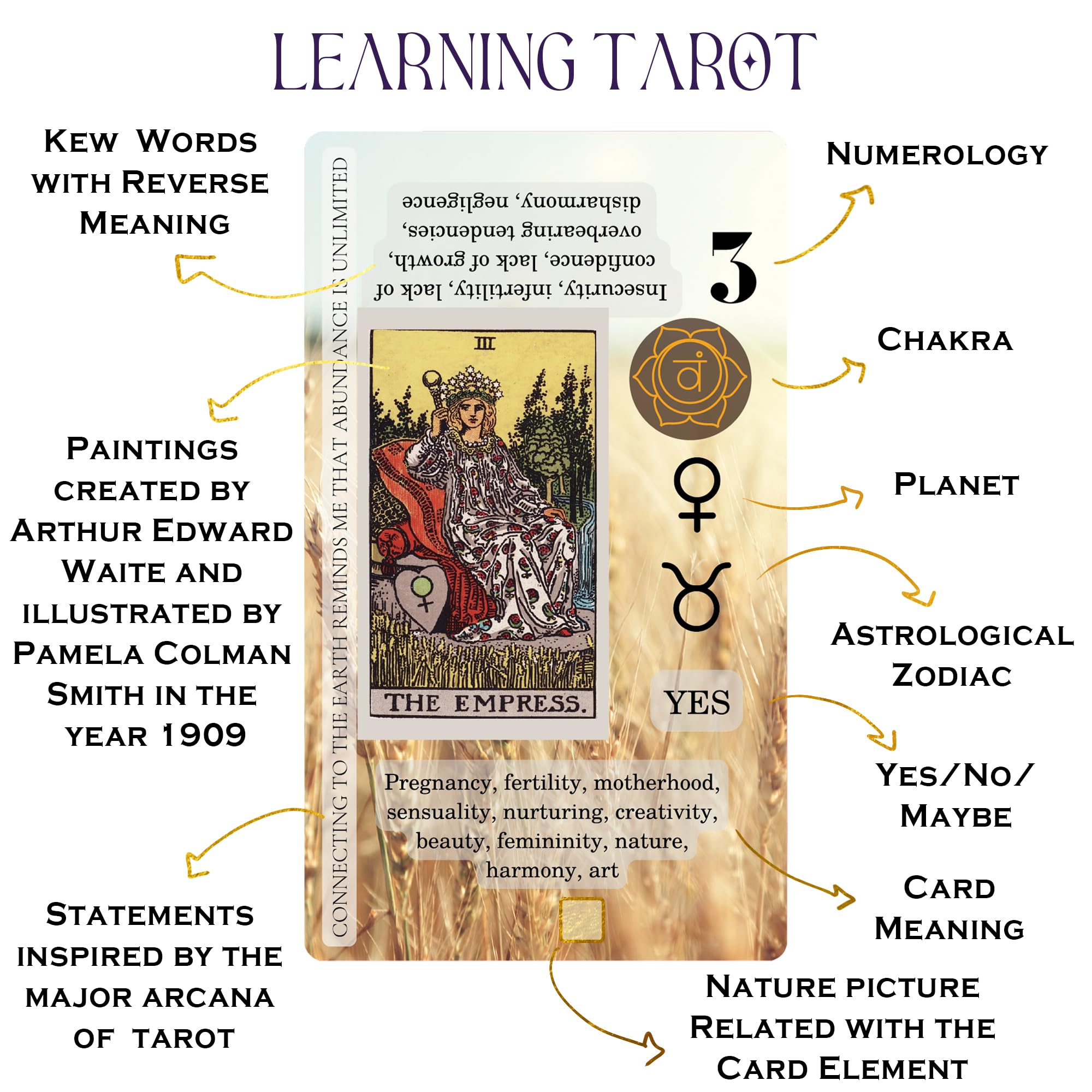 Witchy Cauldron Tarot Cards for Beginners with Meanings on Each Card — 78 Card Learning Tarot Deck with Guidebook, Reversed Meanings, Chakra, Zodiac & Planetary Symbols | Rider-Waite Style (English)